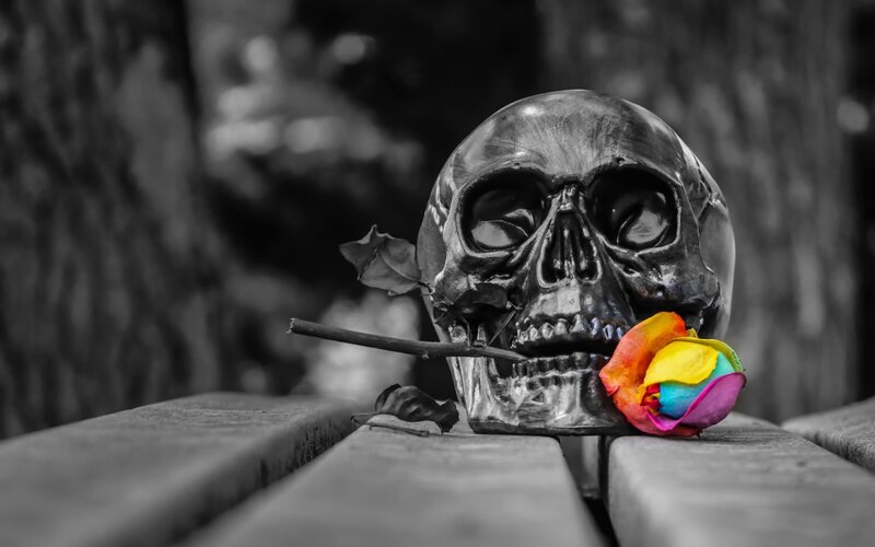 Skull with Rainbow Rose