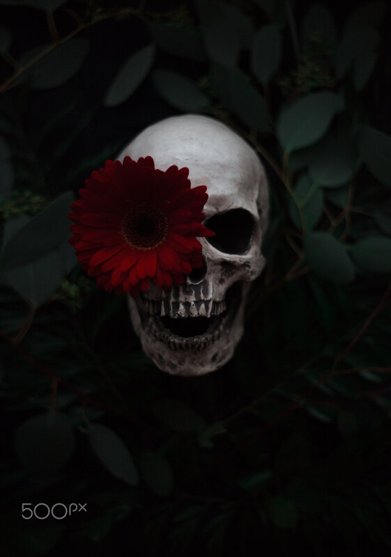 Skull with Red Flower