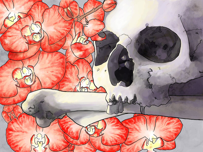 Skull with red orchids