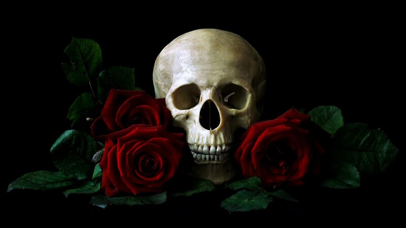 Skull with Red Roses — Black, Dramatic, Night