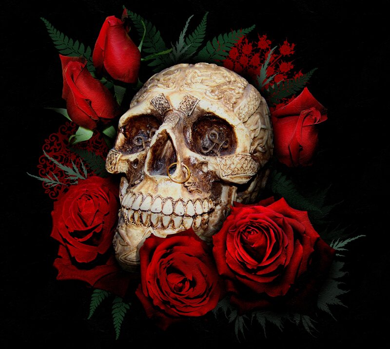 Skull with Red Roses — Black