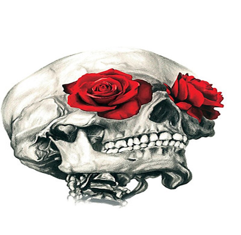 Skull with Red Roses — Macabre