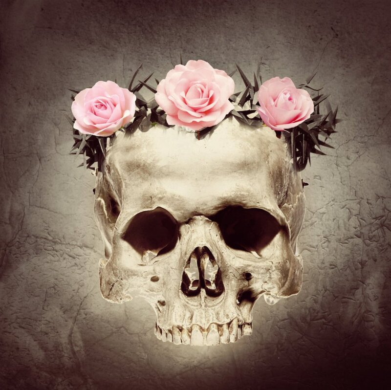 Skull with Rose Crown — Pink