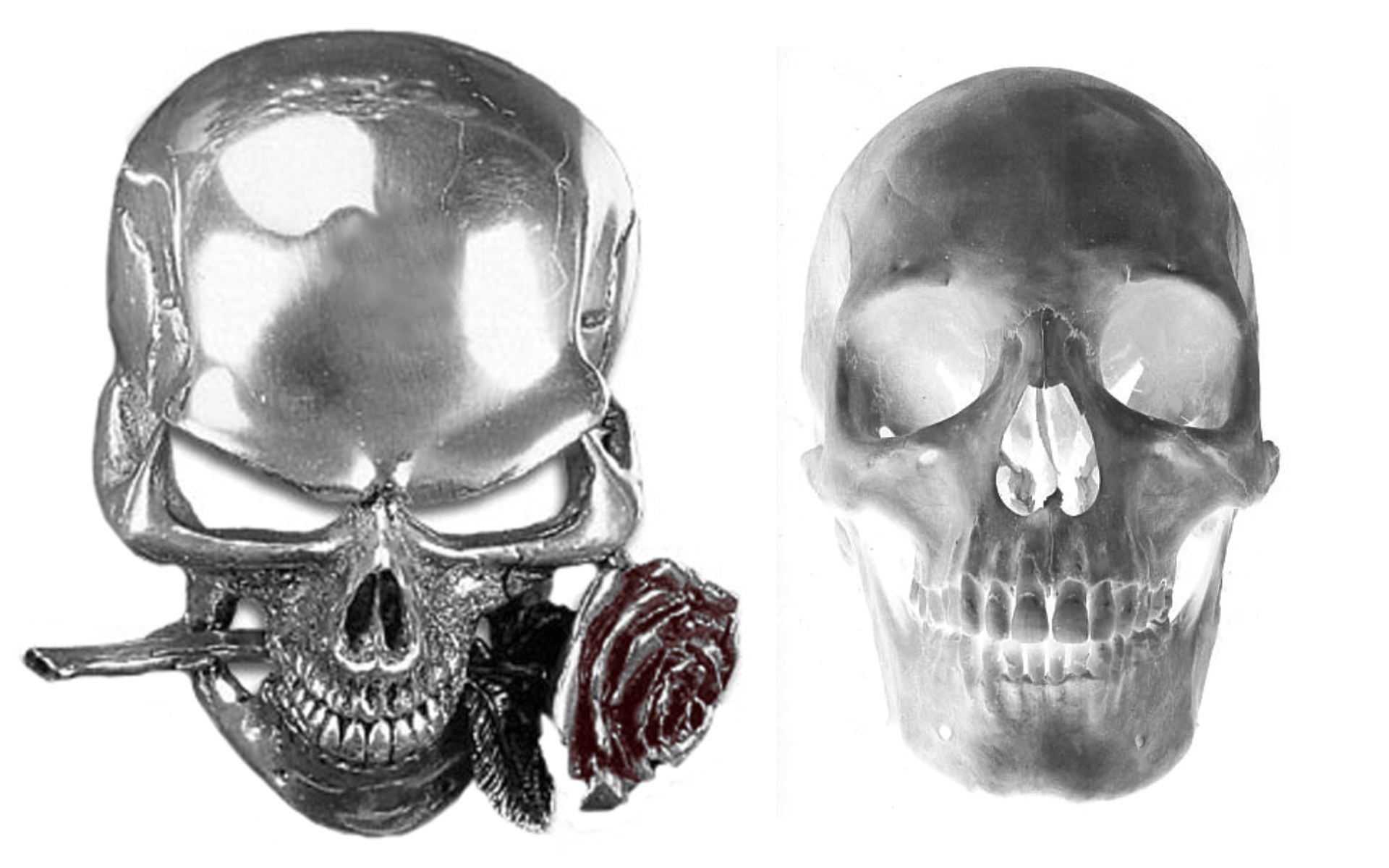 Skull with rose illustration
