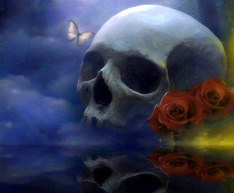 Skull with Roses — Blue
