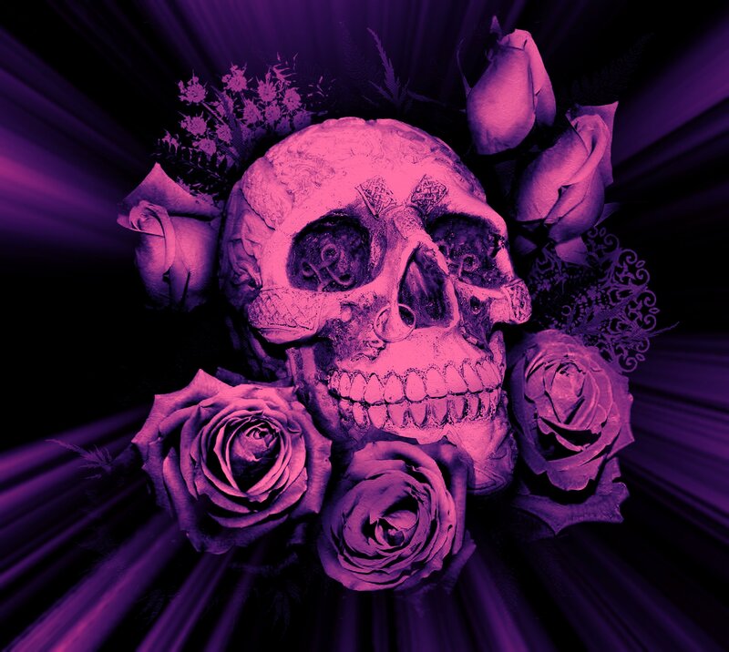 Skull with Roses — Purple, Dramatic
