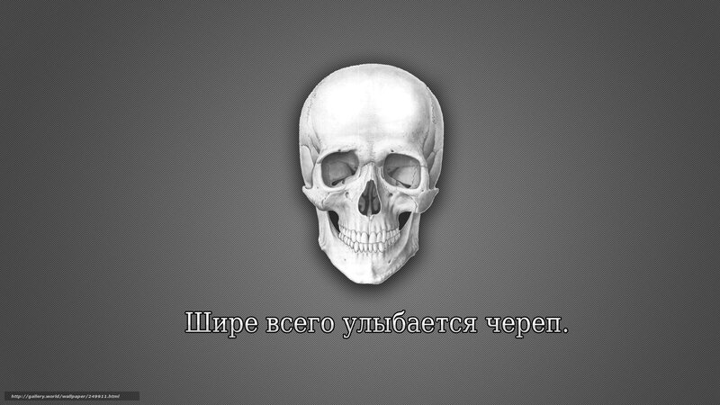 Skull with Russian quote