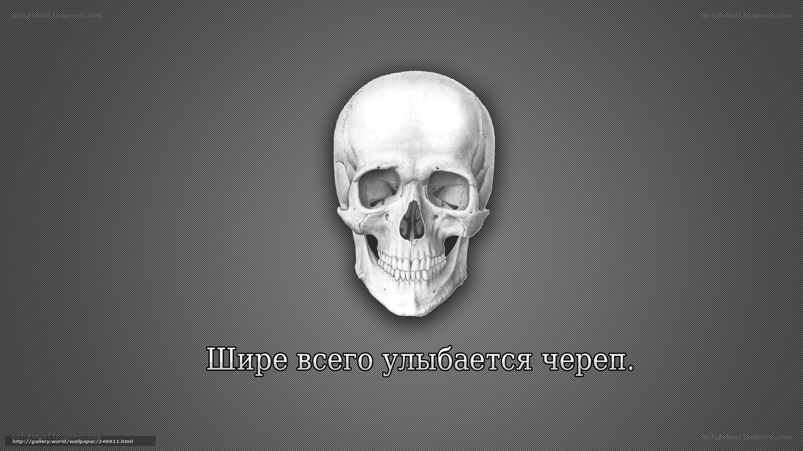 Skull with Russian quote