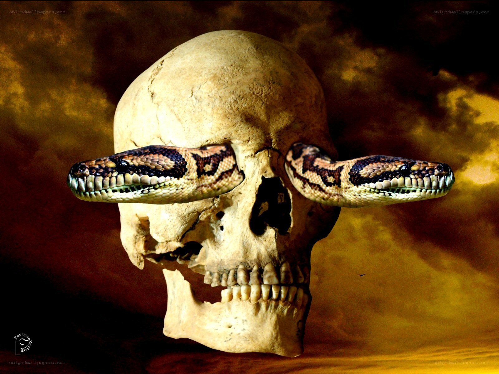 Skull with snake eyes