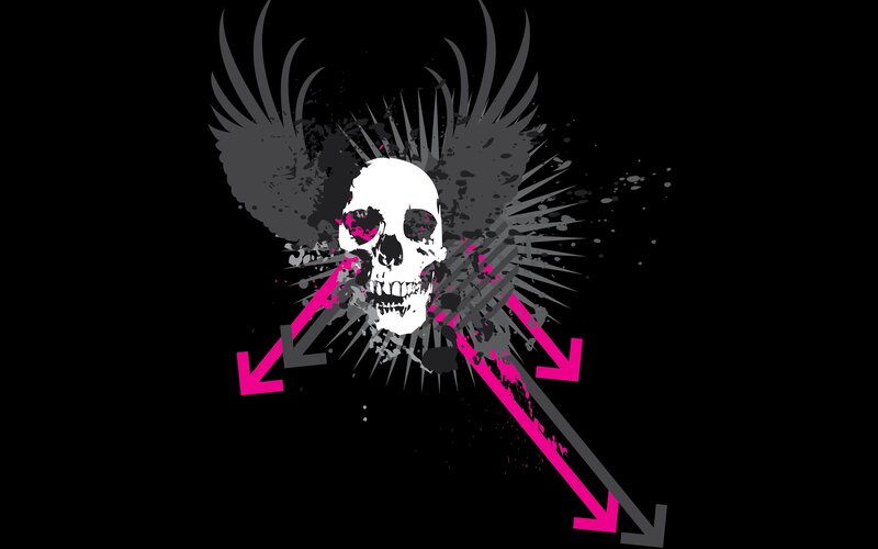 Skull with Wings and Arrows — Black