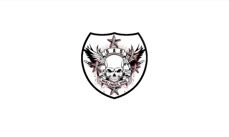 Skull with Wings and Stars