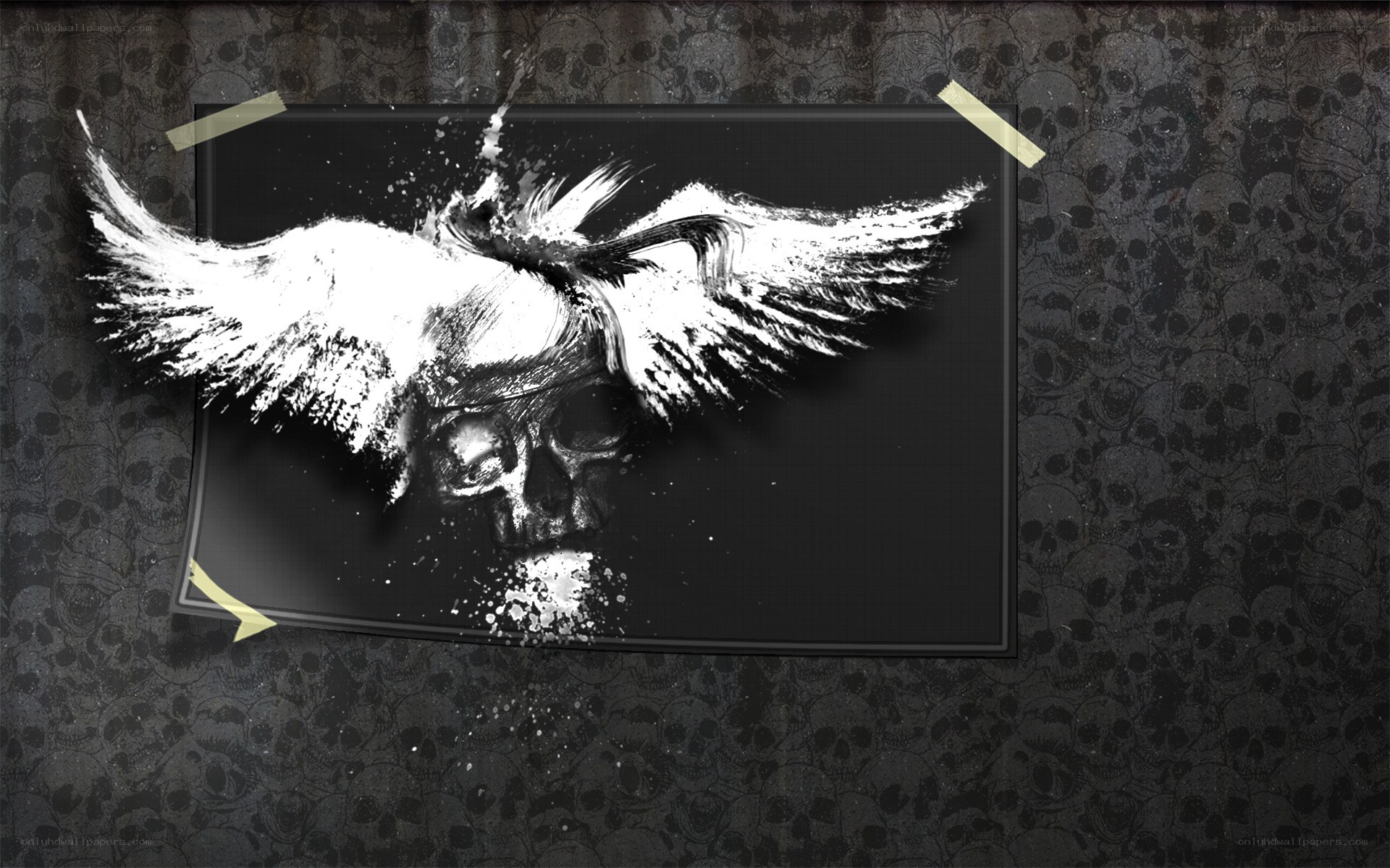 skull with wings artwork