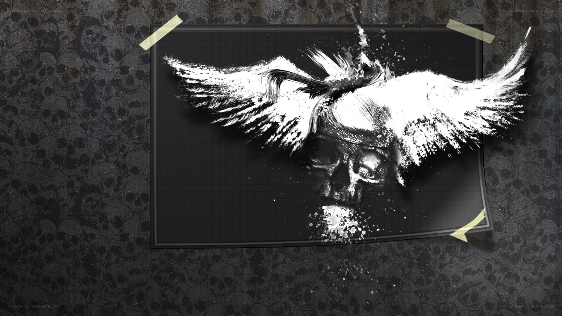 skull with wings artwork