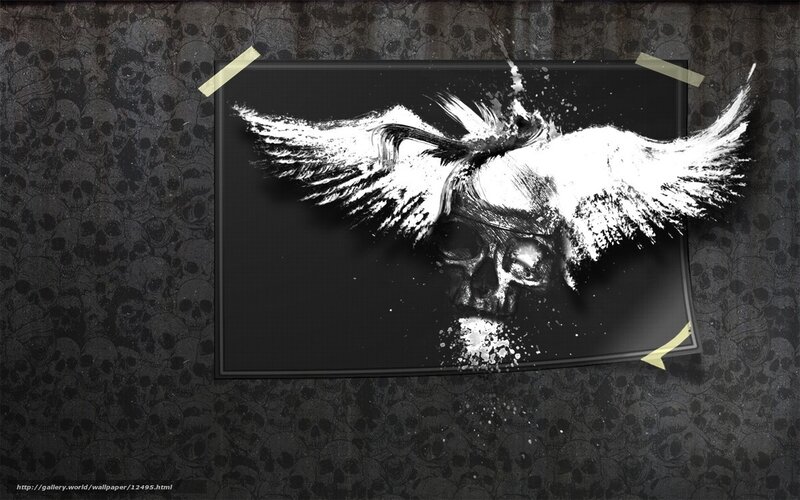 skull with wings artwork