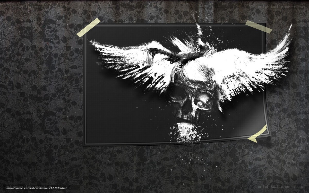 skull with wings artwork