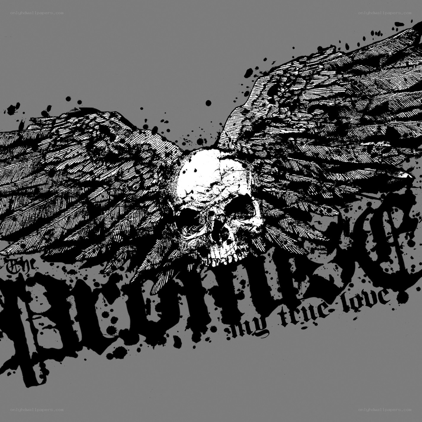 skull with wings logo