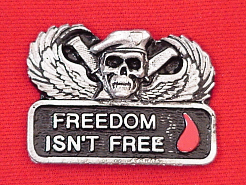 Skull with Wings Pin