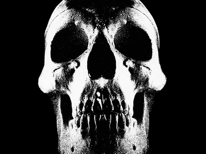 skull x-ray image