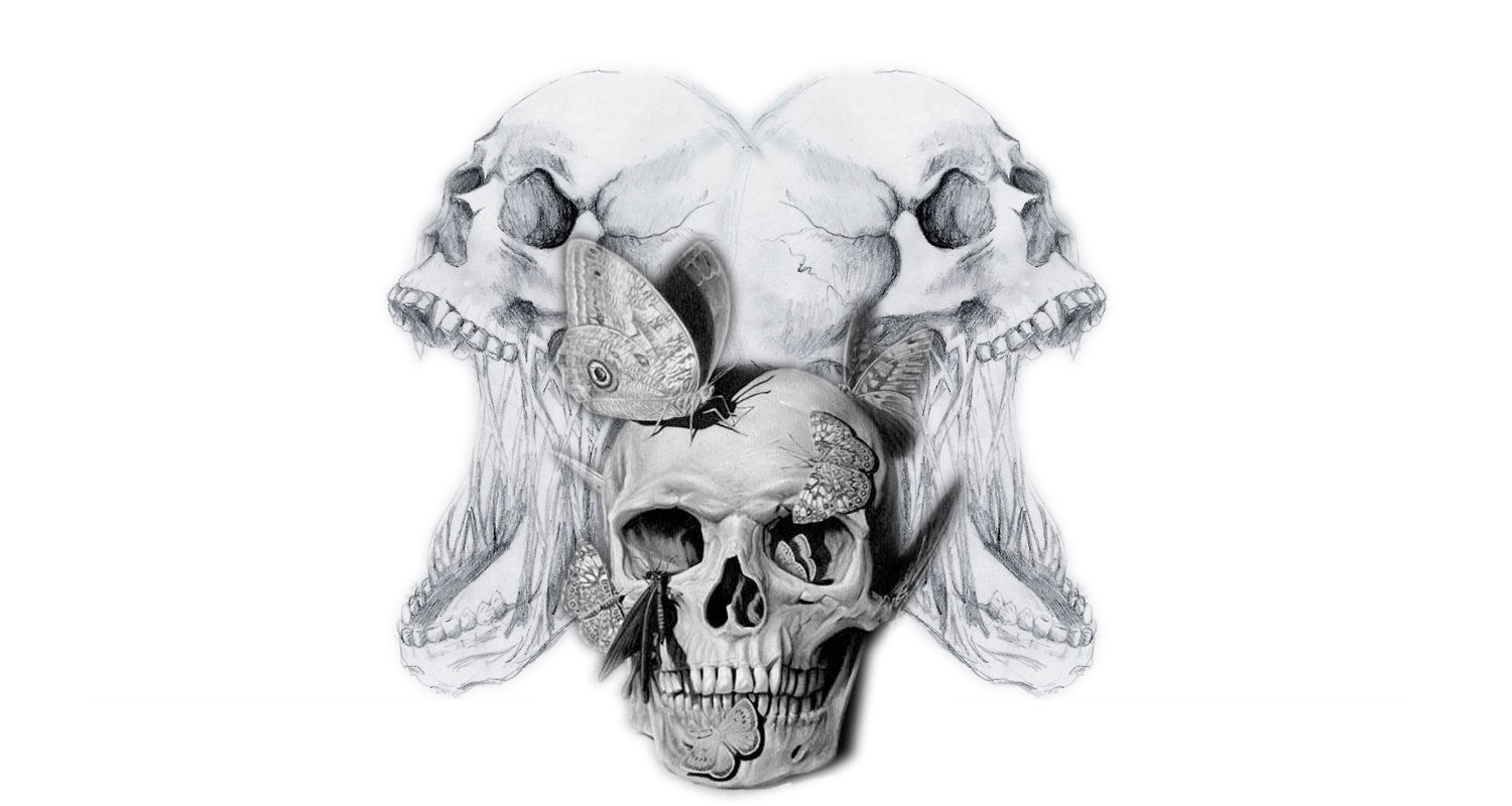 skulls and butterflies drawing