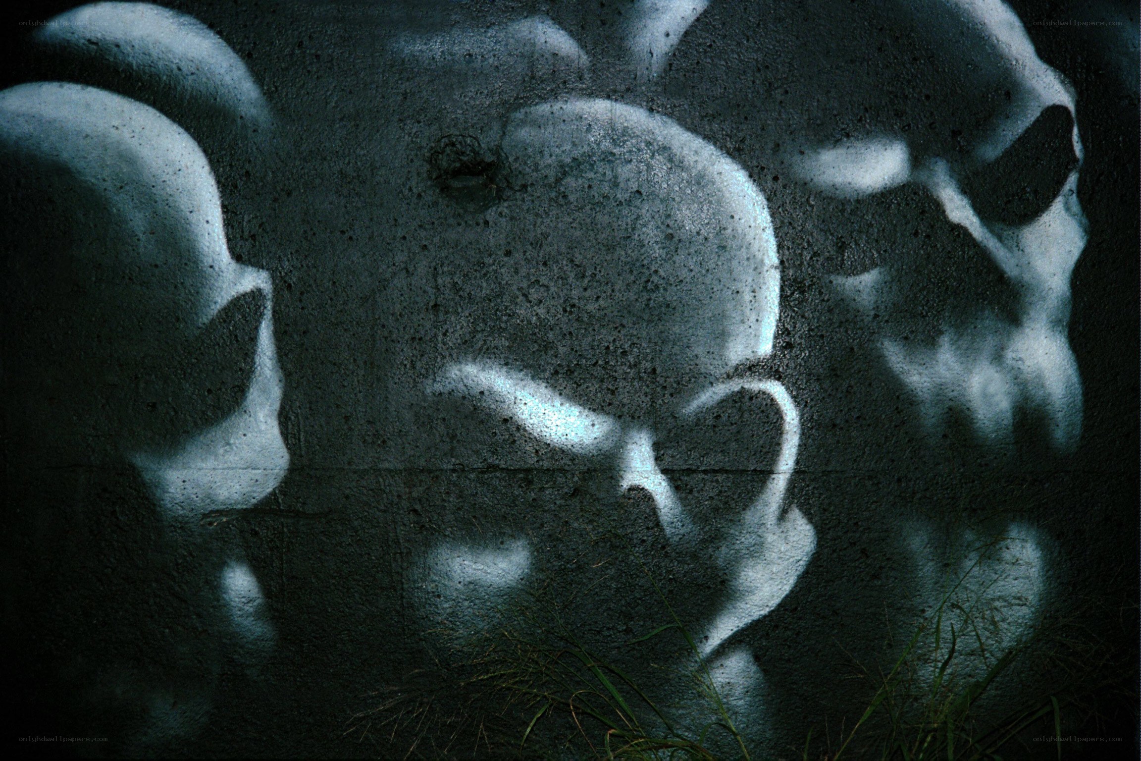 skulls graffiti on concrete wall