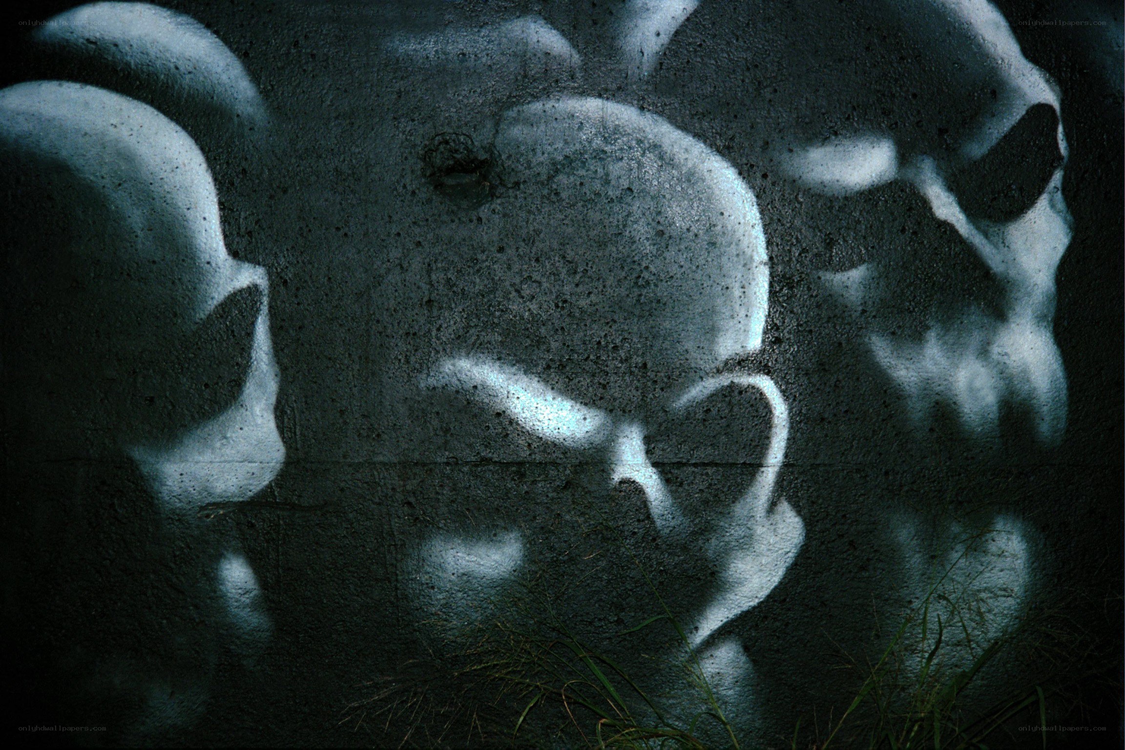 Skulls graffiti on concrete wall
