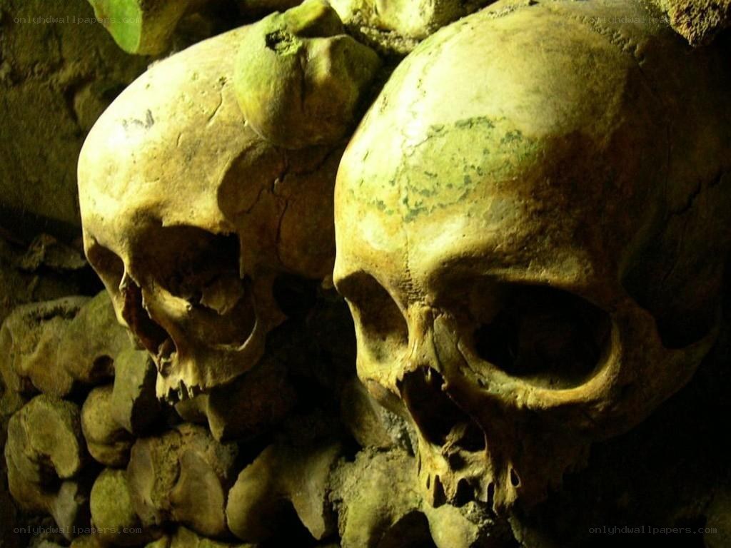 skulls in a catacomb
