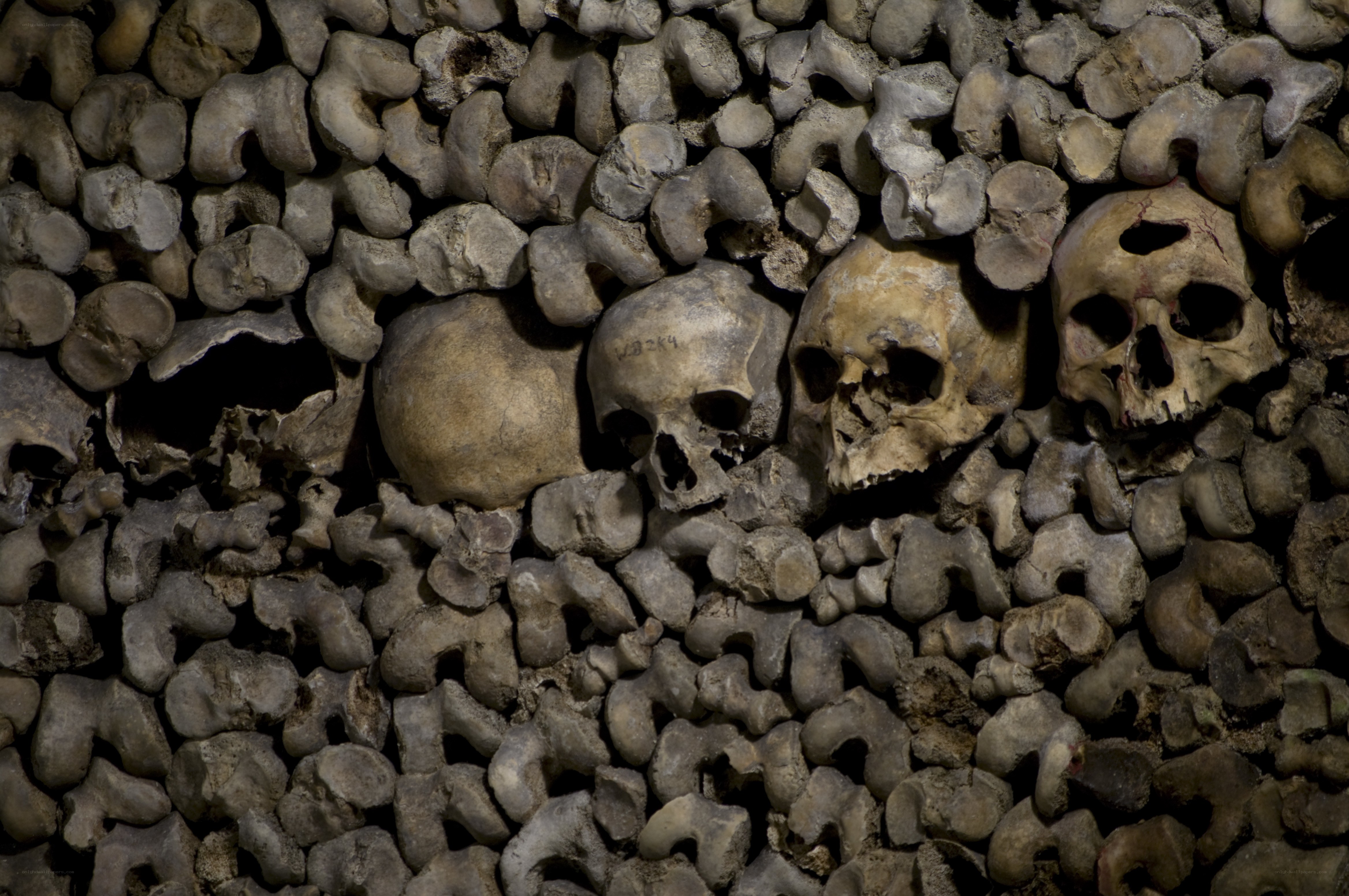 Skulls in a catacomb wall