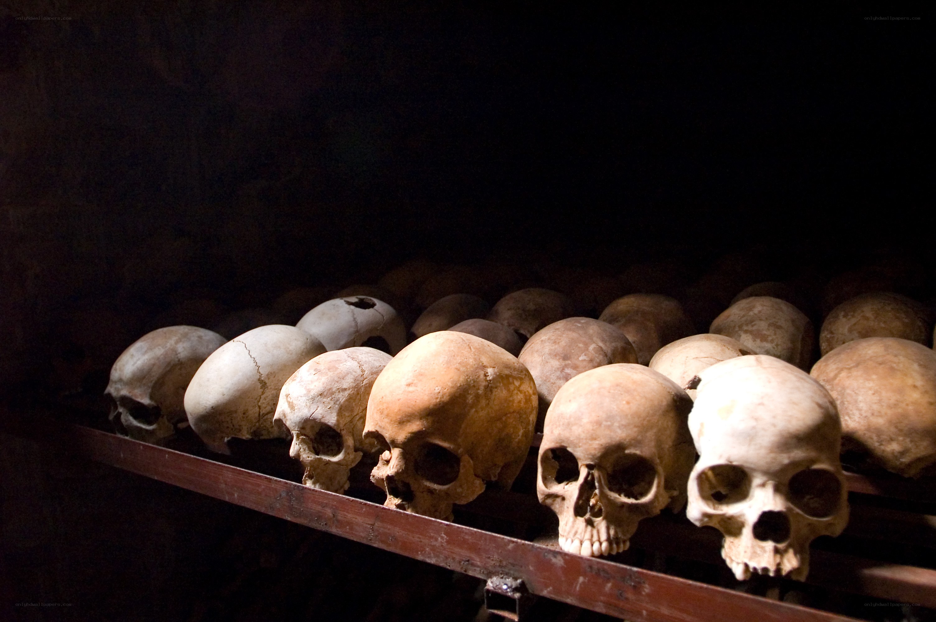 Skulls in a crypt