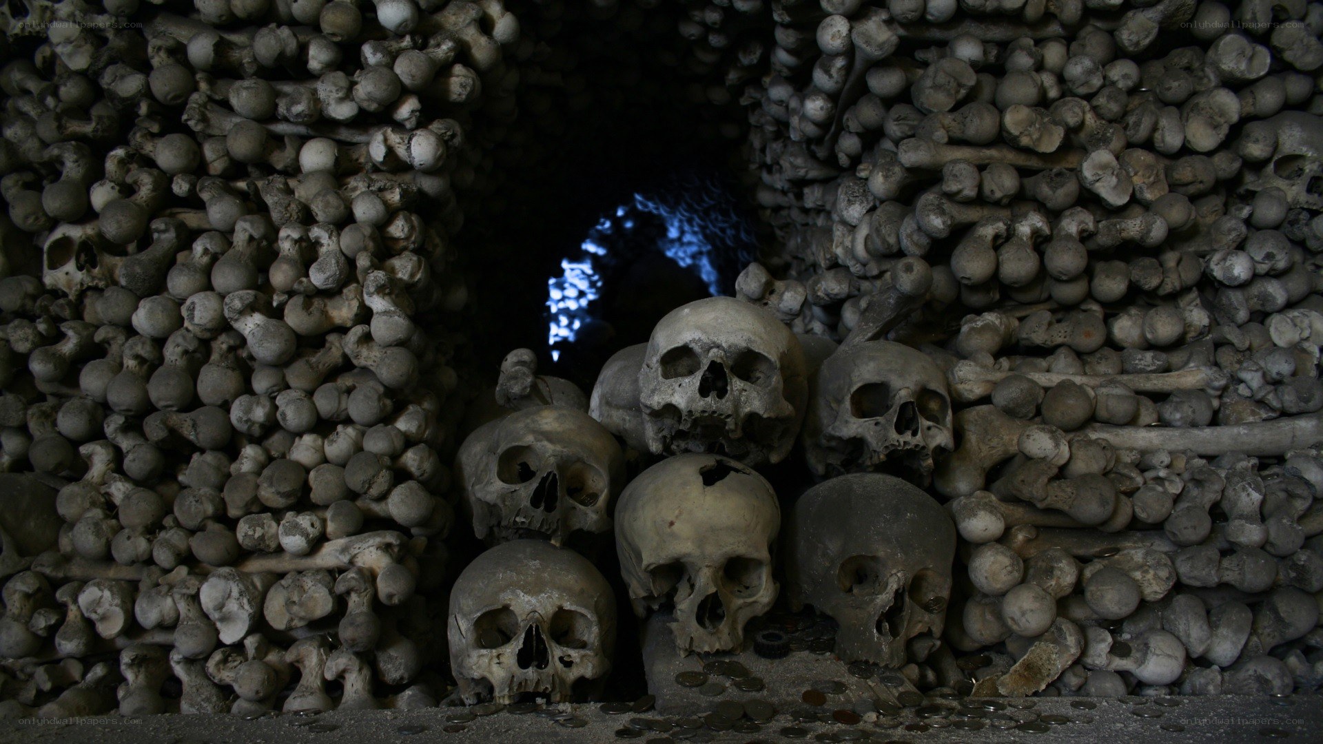 Skulls in a crypt