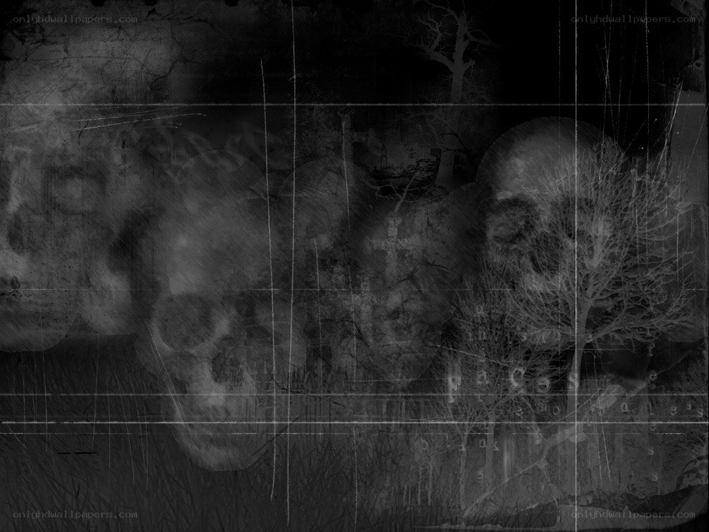 skulls in a dark forest