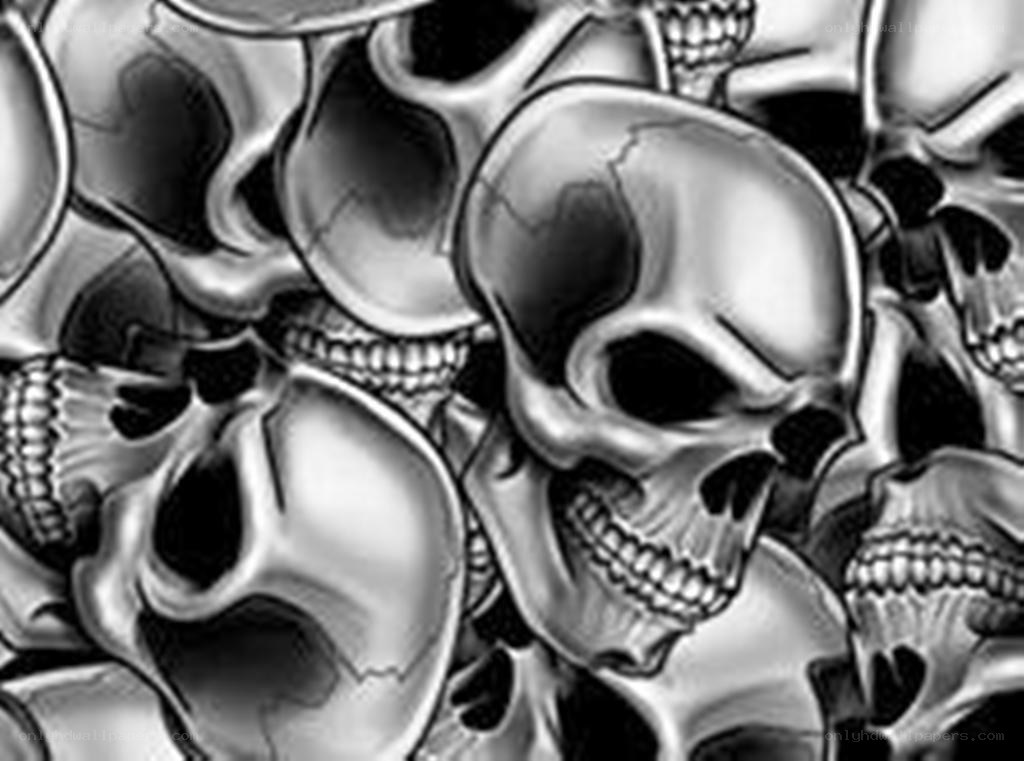 skulls in a pile