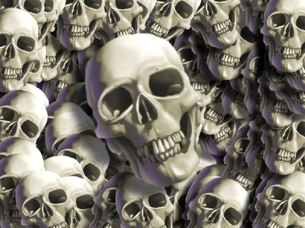 skulls in a pile
