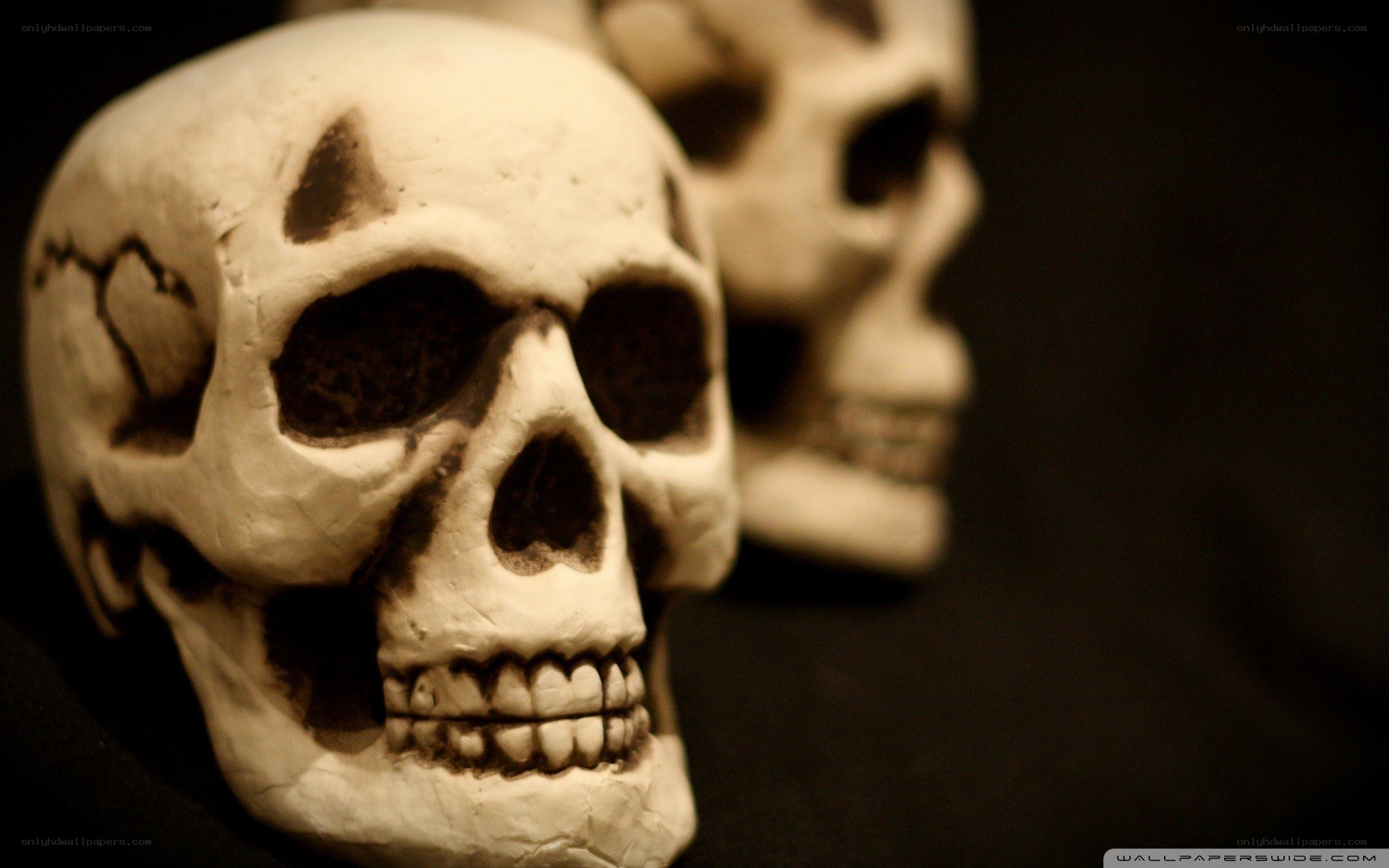 Skulls in dim lighting