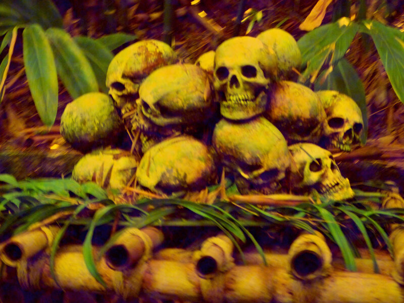 skulls in jungle setting
