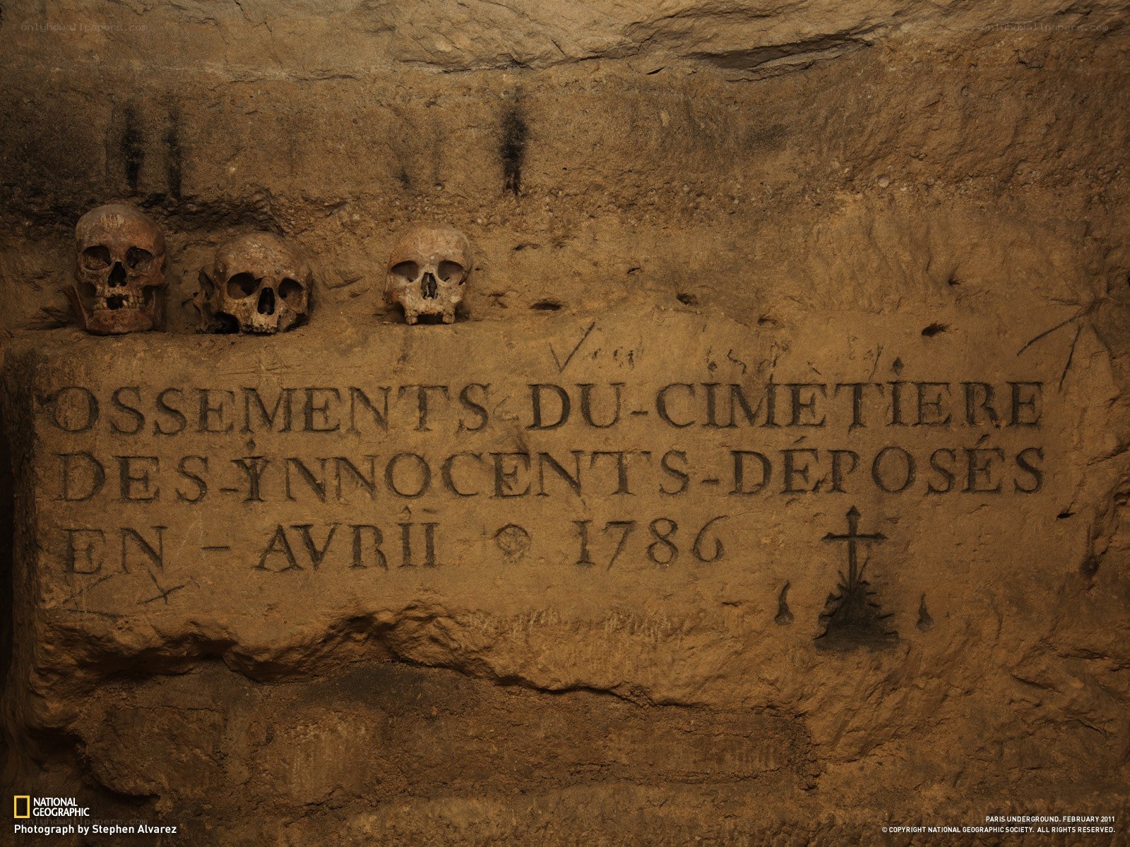 Skulls in Paris Catacombs