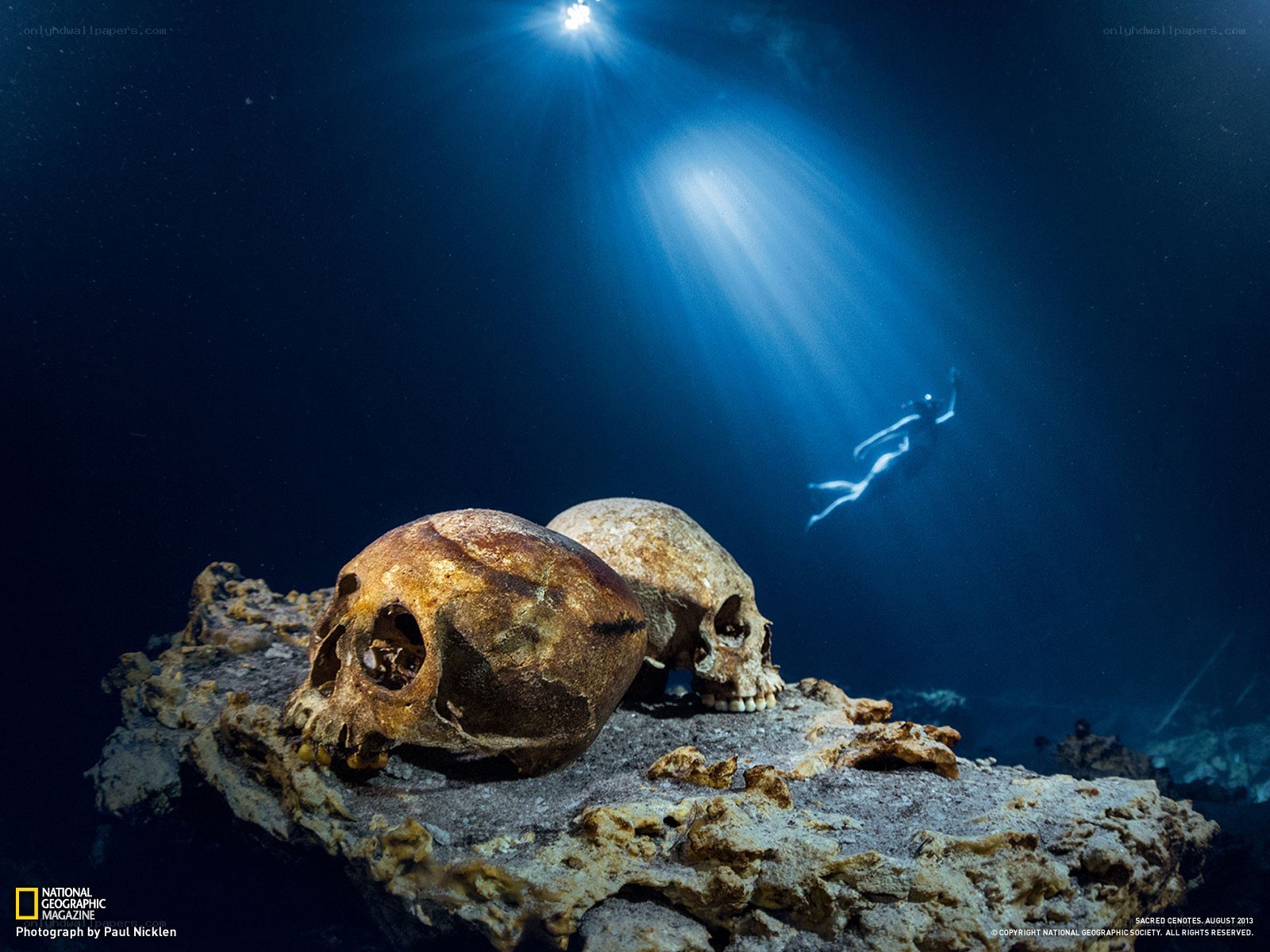 Skulls in underwater cenote
