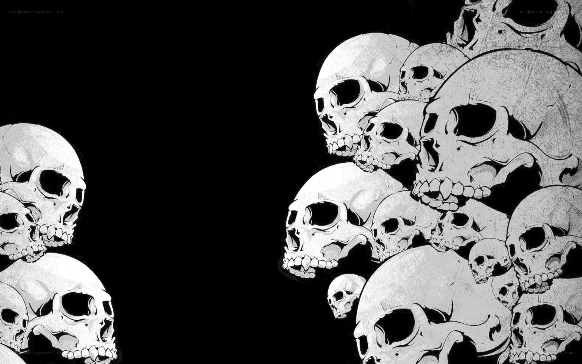 skulls on black background