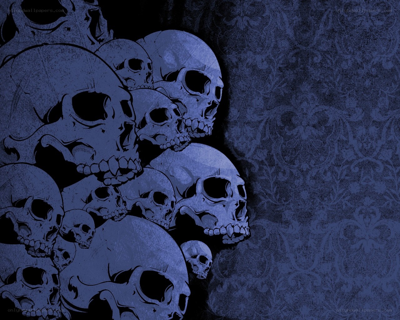 skulls on dark patterned background