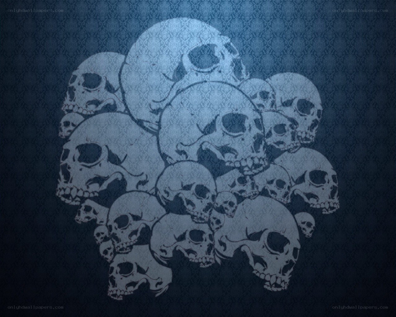 skulls on patterned background