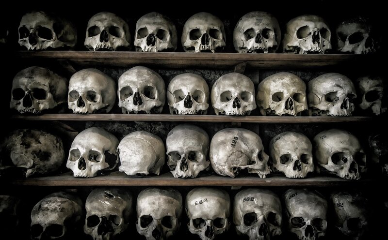 Skulls on Shelves
