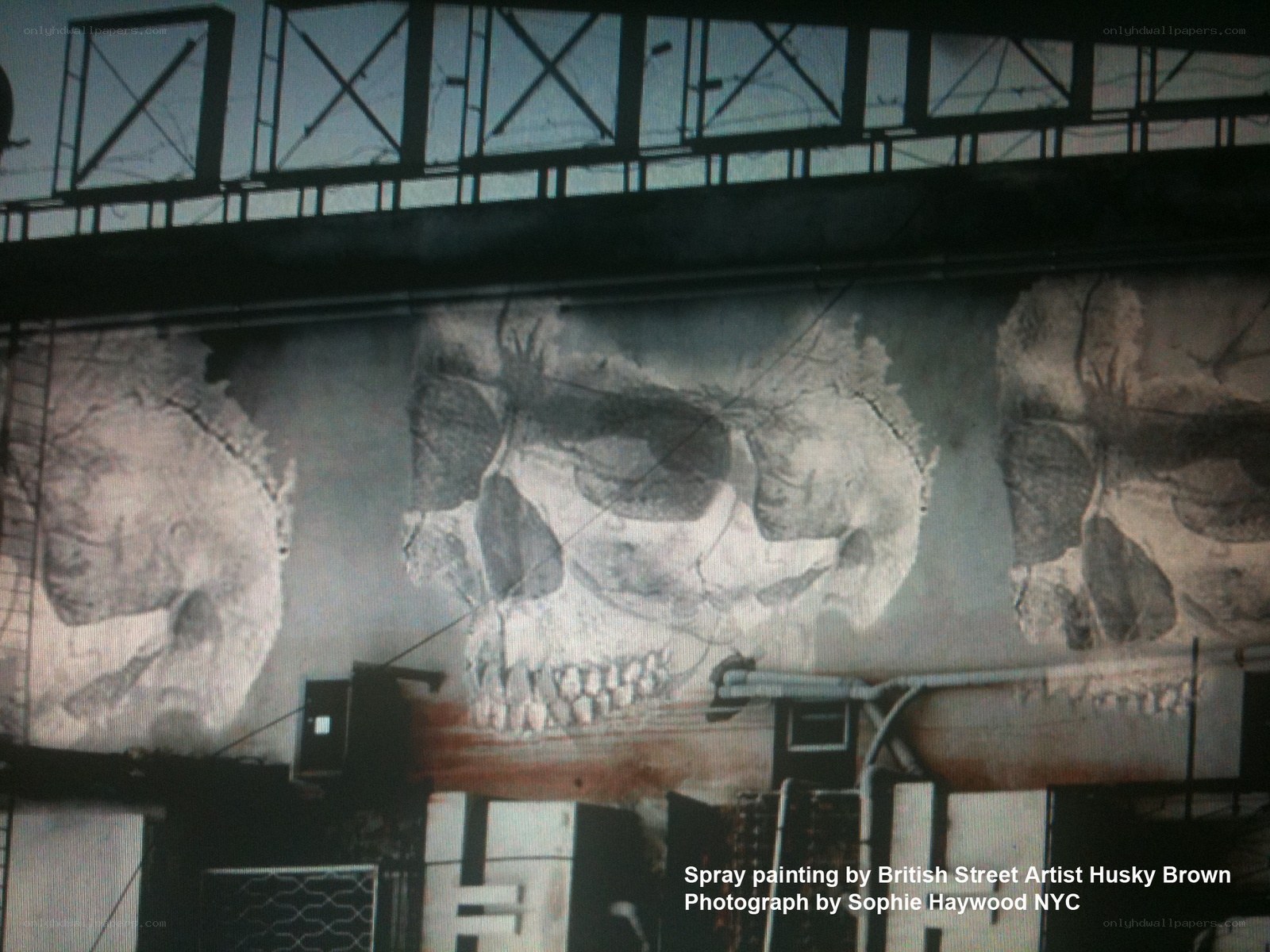 Skulls spray painting on wall