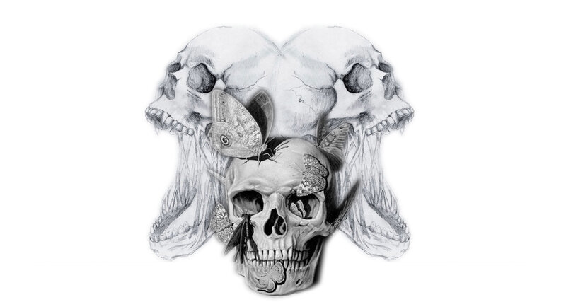 Skulls with Butterflies