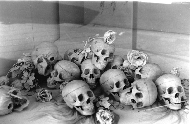 Skulls with Flowers