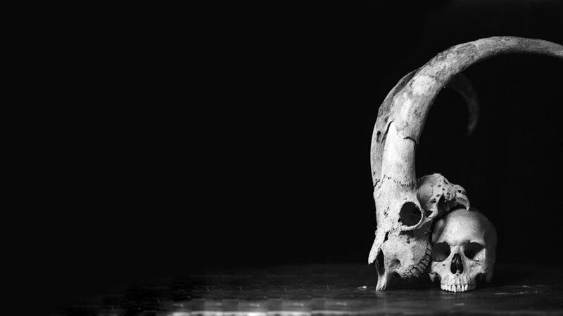 Skulls with Horned Skull