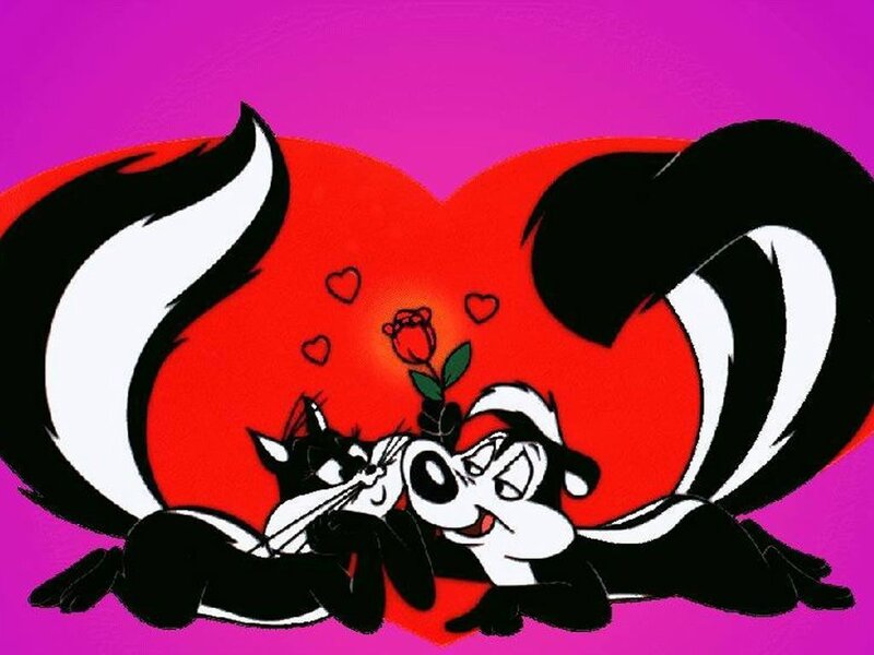 Skunk Couple in Heart
