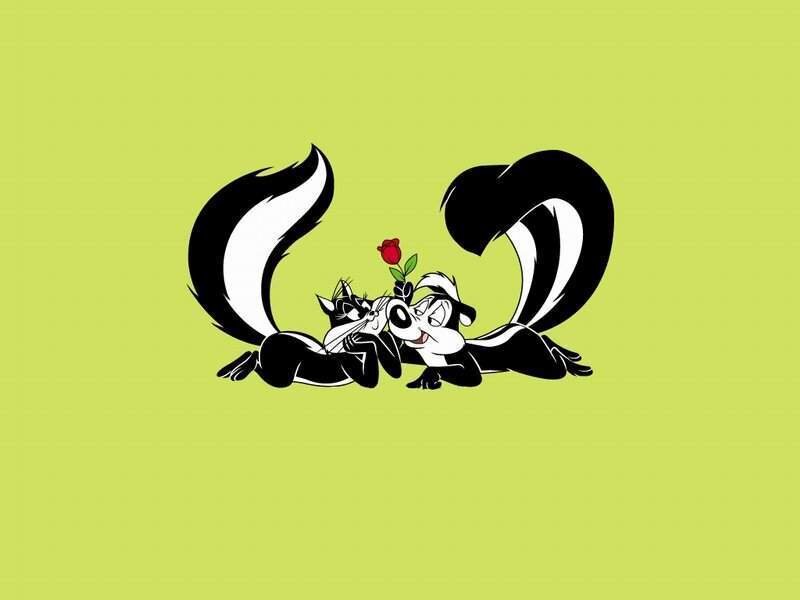 Skunk Couple with Rose