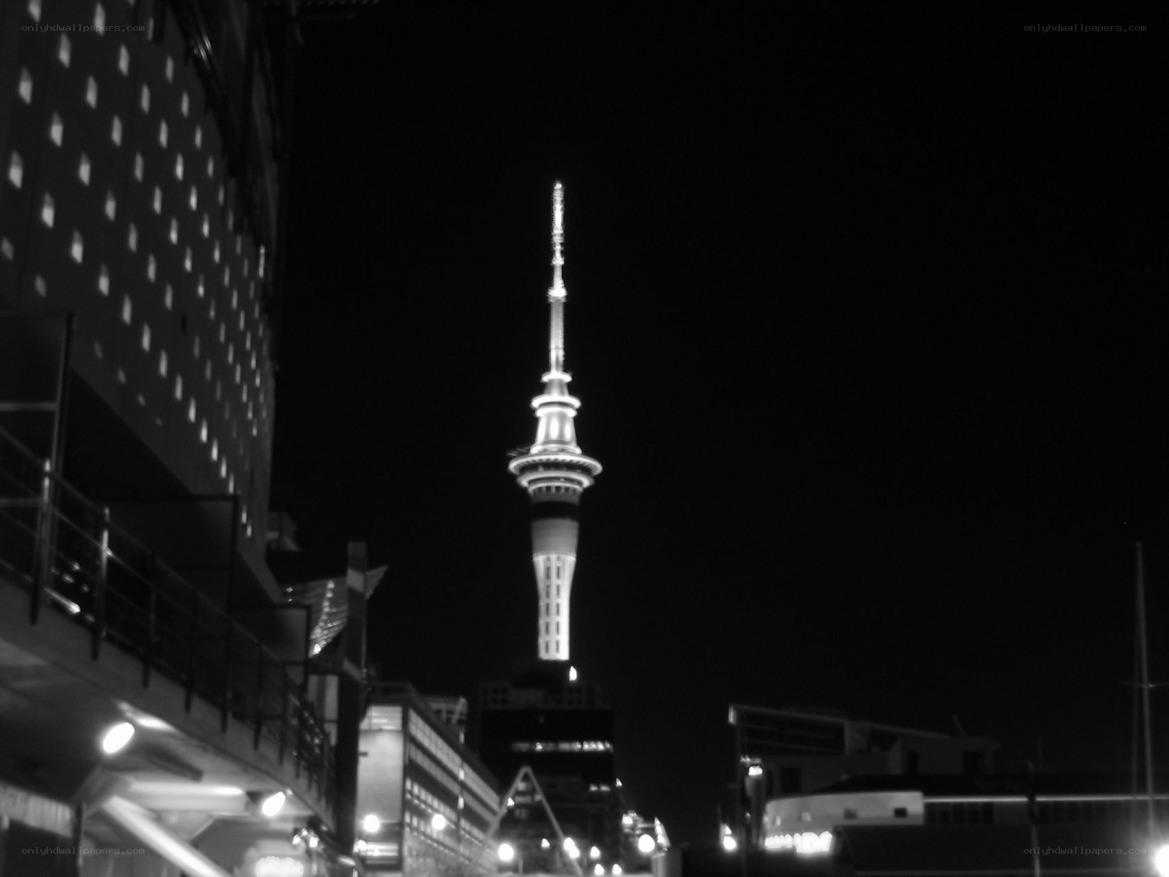 Sky Tower at night
