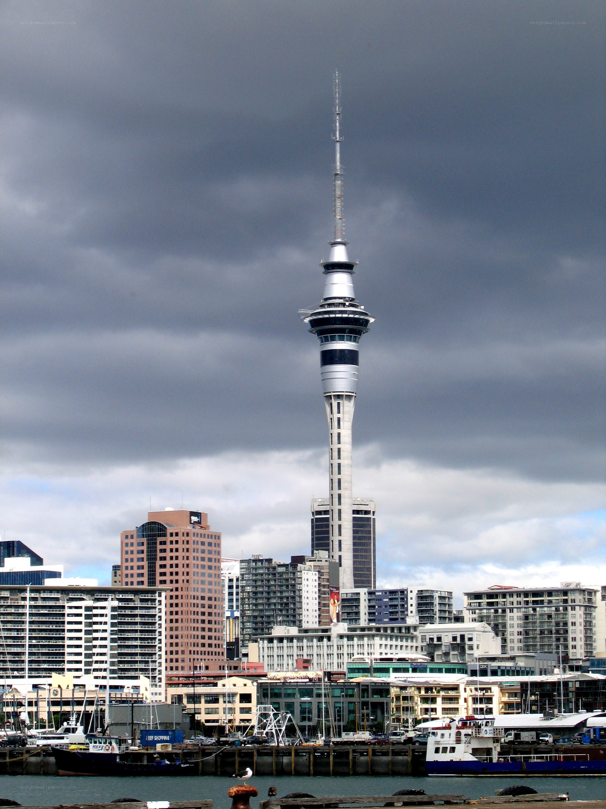 Sky Tower in Auckland