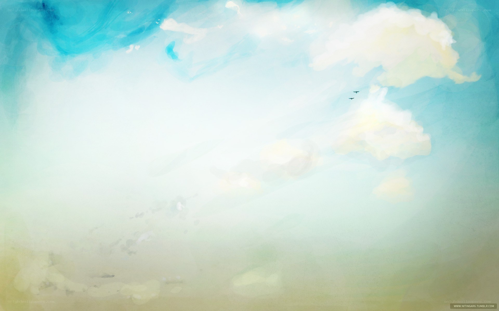 sky with clouds and birds