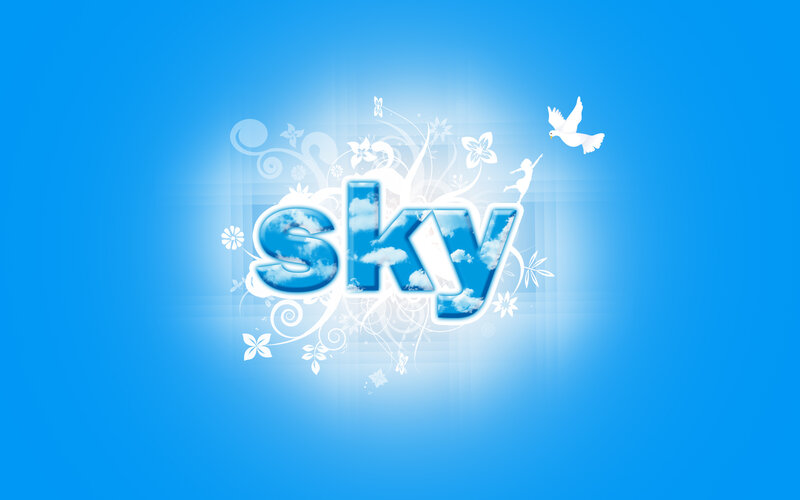 Sky with clouds and dove